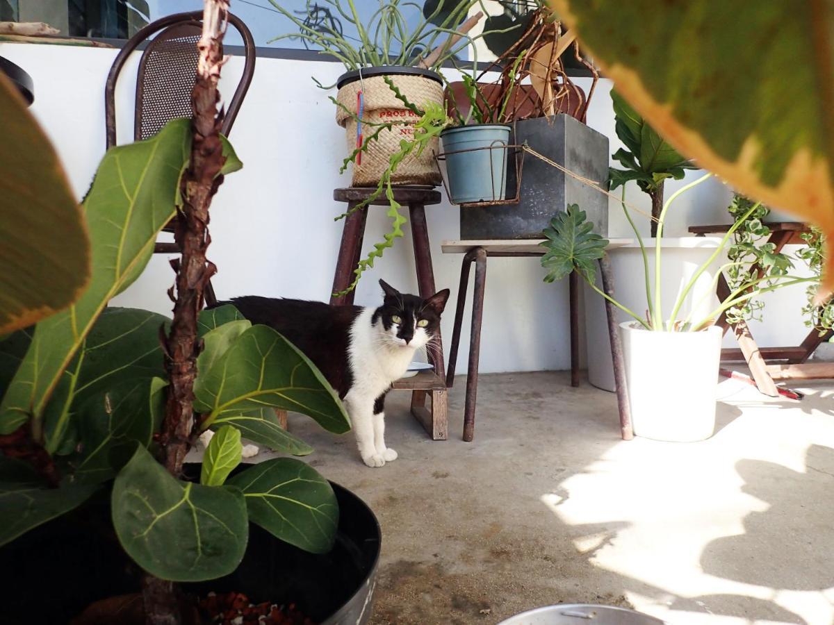 群青所 Gatherers Hostel Xiaoliuqiu Esterno foto